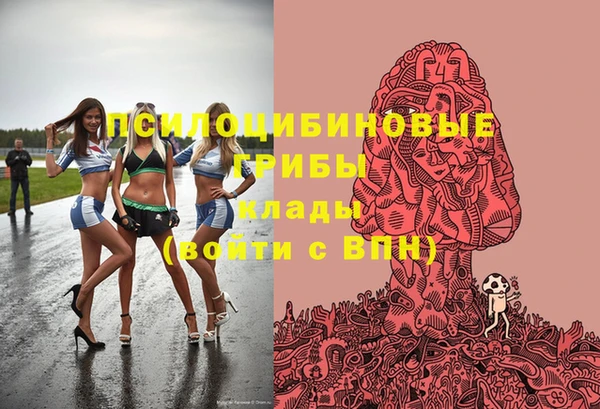 стафф Вязьма